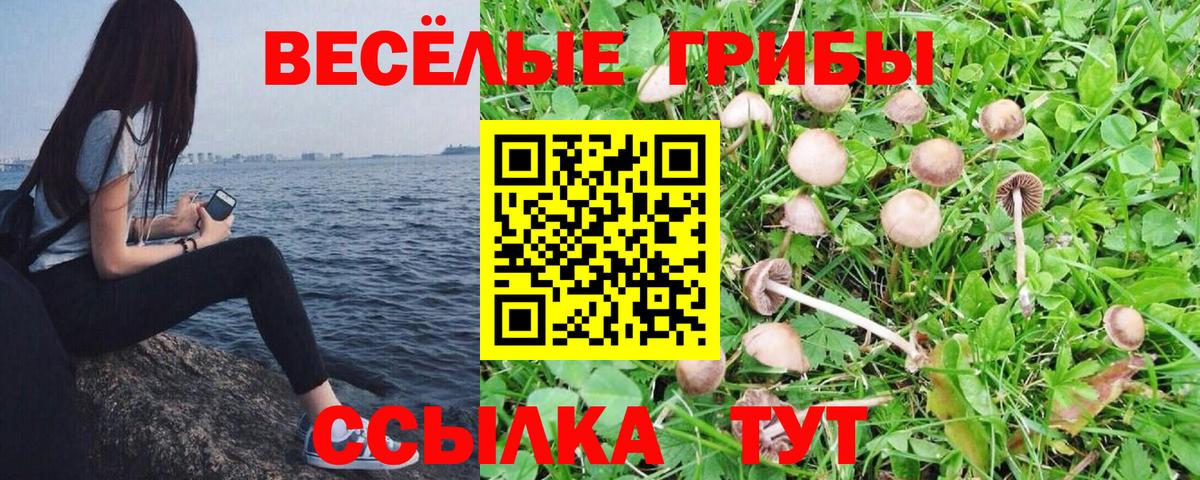 Галлюциногенные грибы MAGIC MUSHROOMS  Вход с VPN  Псилоцибиновые грибы Psilocybe  Кировск 